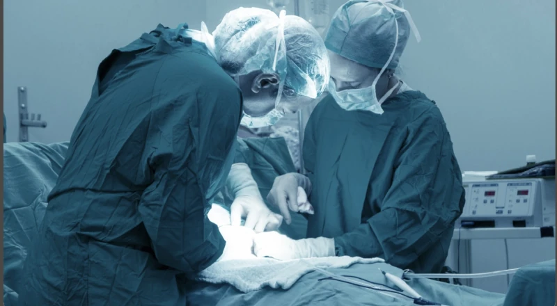 estancias-formativas